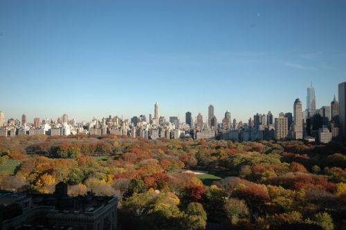 Central Park - November